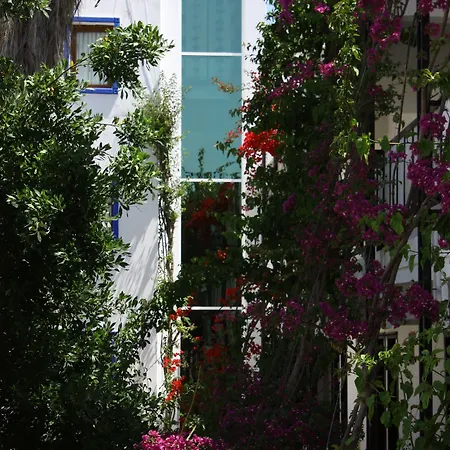 Sami Hotel- Hotel Gümbet